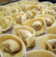 Chicken Wontons
