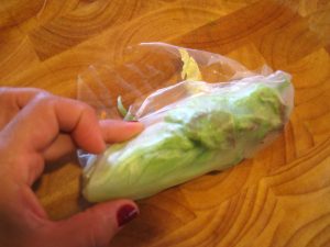 How to Wrap Tofu Summer Rolls 4