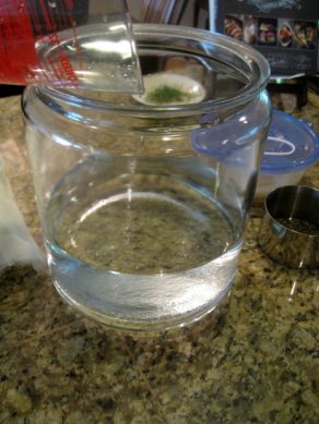 pouring water into a brewing jar to make kombucha