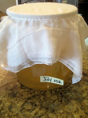covering a kombucha brew jar with cheesecloth to ferment