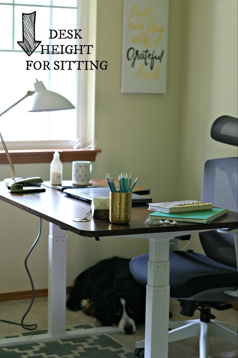 Motorized Sit to Stand Desk with www.EverydayMaven.com