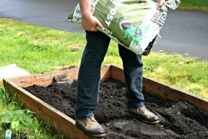 Planting an Organic PNW Vegetable Garden from www.EverydayMaven.com