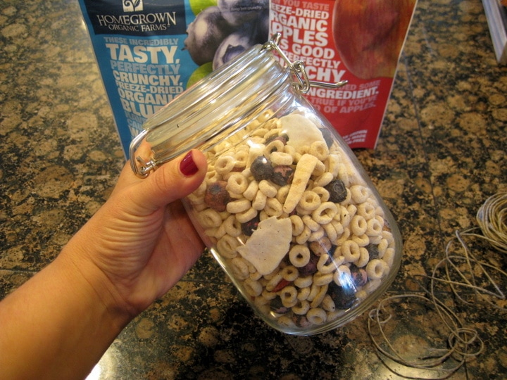 Freeze Dried Fruit Snack Mix