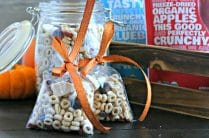 Freeze Dried Fruit Snack Mix from www.EverydayMaven.com