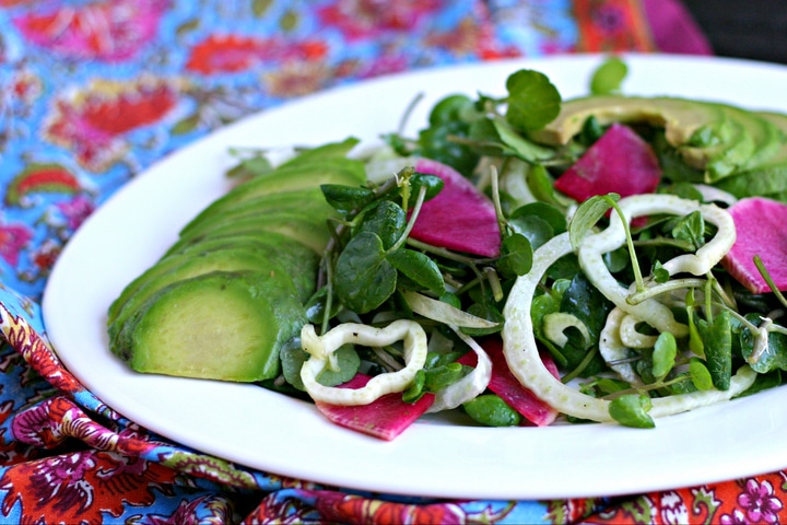 close up shot of colorful watercress, avocado, fennel and watermelon radish salad